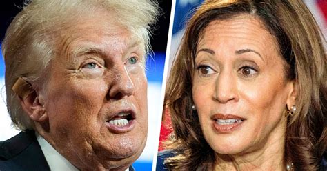 mdm report mp|Trump reposts crude sexual remark about Harris on Truth Social.